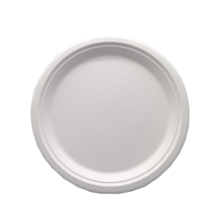 Bagasse